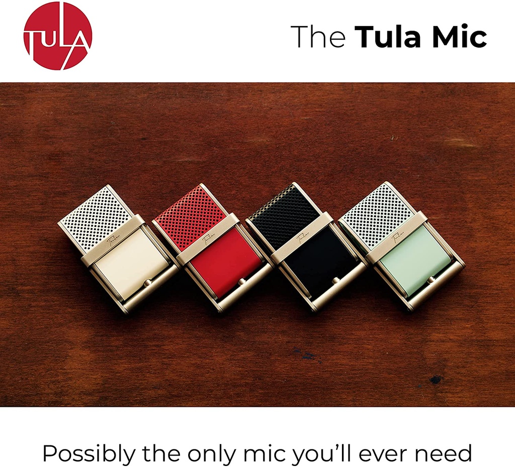 Tula Mic with 8GB Internal Memory, USB-C and 3.5mm Jack Support (Cream)