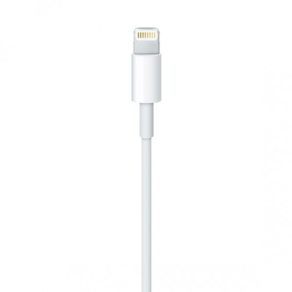 Apple Lightning to USB Cable 2m