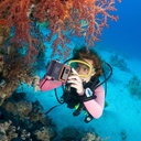 Shellbox Diving Waterproof Phone Case 2nd Gen (Blue)