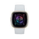 Fitbit Sense 2 (Blue Mist/Soft Gold)