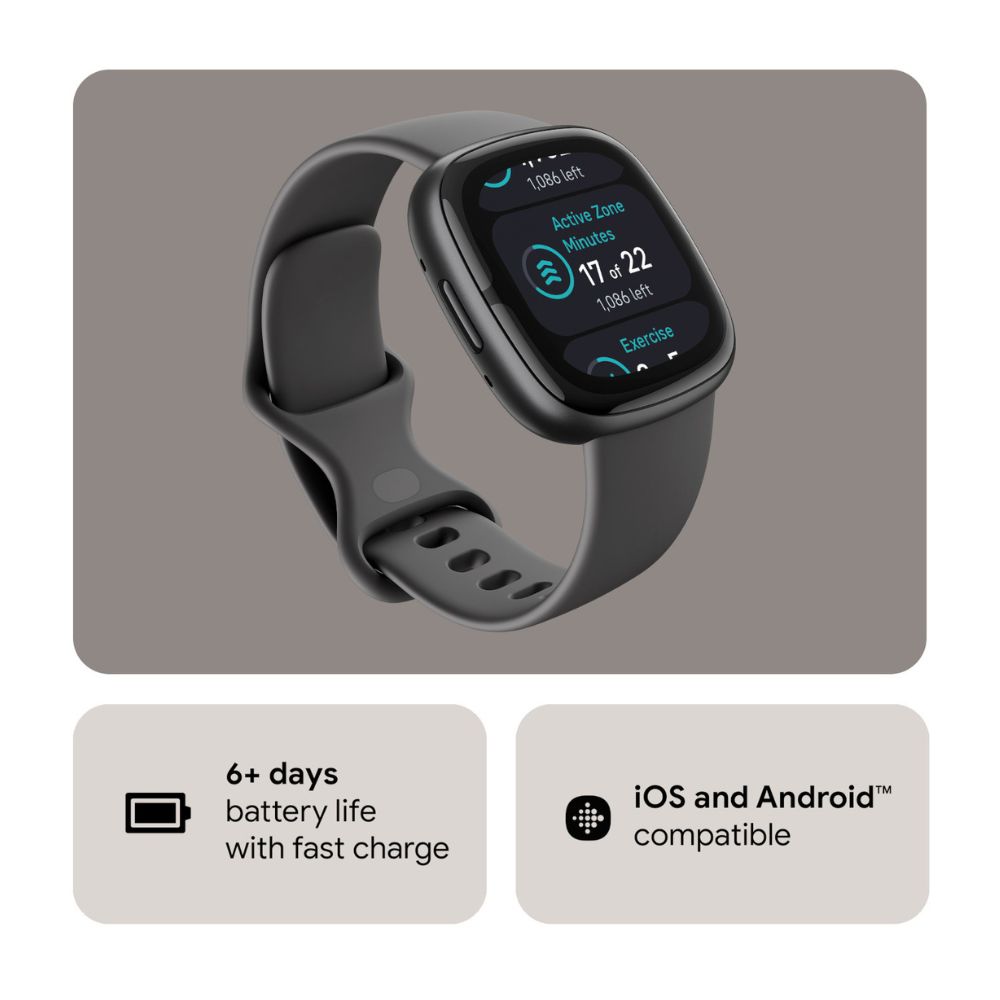 Fitbit Sense 2 (Shadow Grey/Graphite)