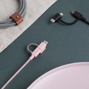 Native Union Belt Cable Universal 2m (Rose)