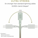 Native Union Belt Cable USB-C to Lightning 1.2m (Sage)