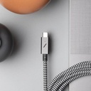 Native Union Belt Cable Type C-C 1.2M (Zebra)