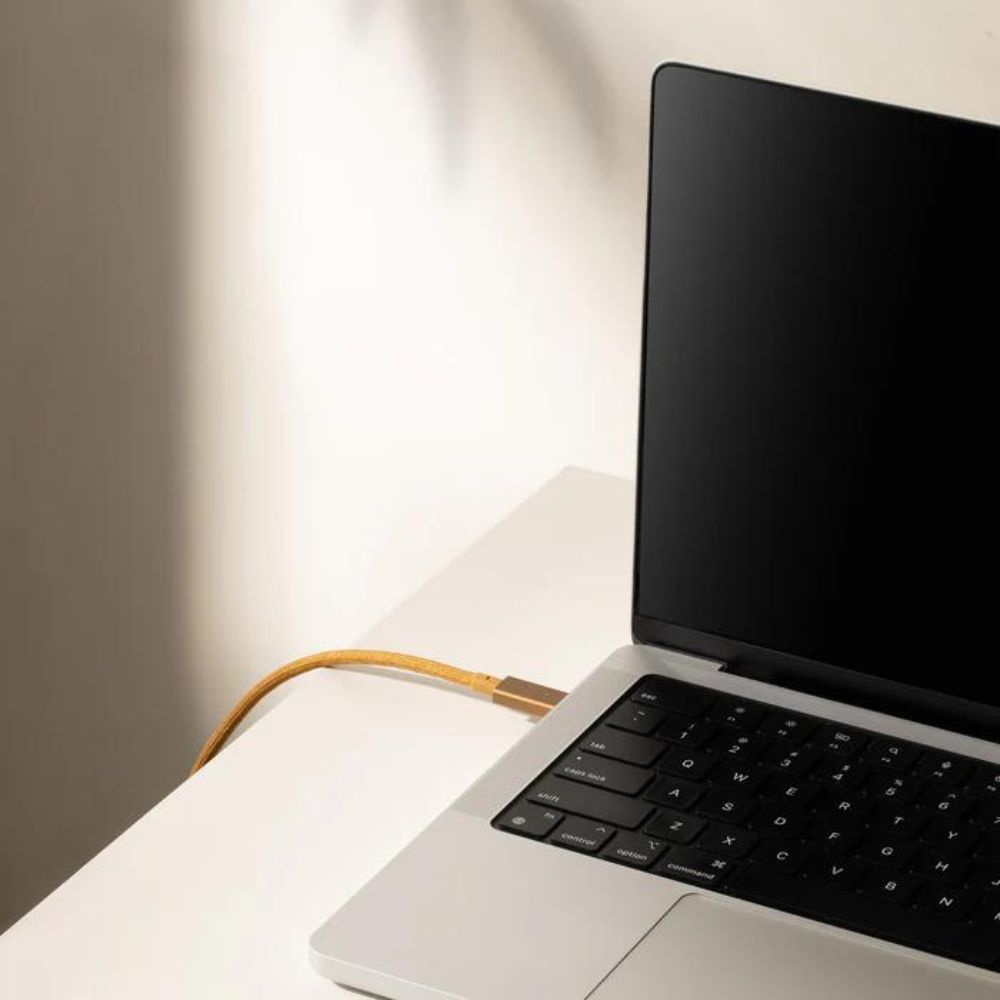 Native Union Belt Cable Pro 240W USB-C to USB-C (Cosmos)
