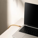 Native Union Belt Cable Pro 240W USB-C to USB-C (Cosmos)
