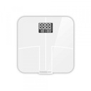 Powerology Smart Body Scale Pro With Advanced Features