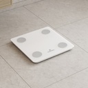 The VITA Smart Body Scale