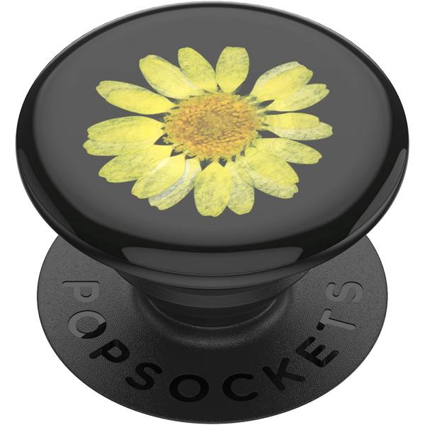 Popsockets Swappable Pressed Flower (Yellow Daisy)