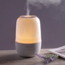 Momax Feel Aroma Diffuser Lamp