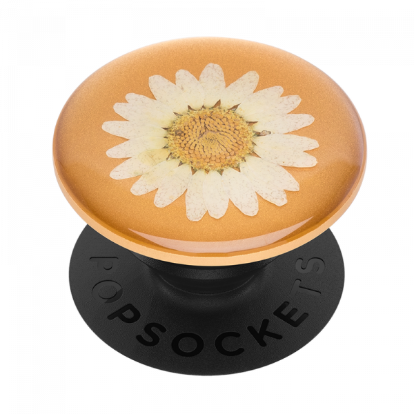 Popsockets Swappable Pressed Flower (White Daisy)