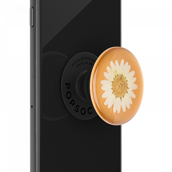 Popsockets Swappable Pressed Flower (White Daisy)