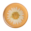 Popsockets Swappable Pressed Flower (White Daisy)