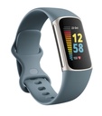 Fitbit Charge 5 Stainless Steel Activity Tracker (Blue)