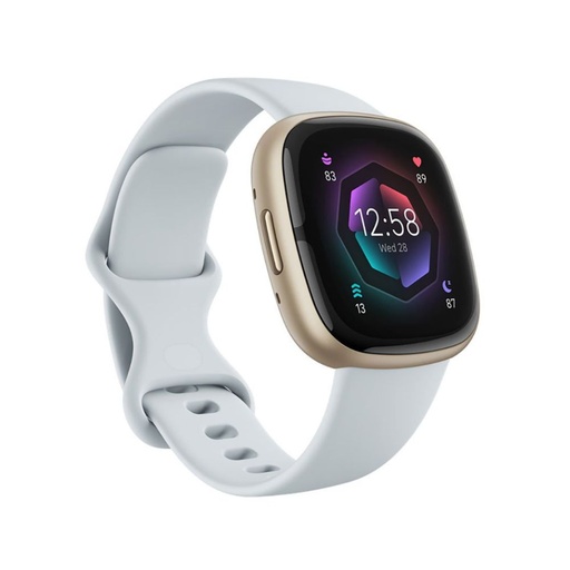 [FB521GLBM] Fitbit Sense 2 (Blue Mist/Soft Gold)