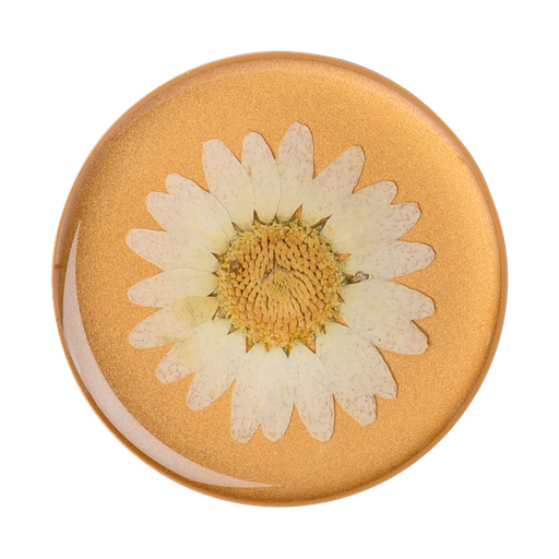 [801476] Popsockets Swappable Pressed Flower (White Daisy)