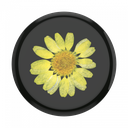 Popsockets Swappable Pressed Flower (Yellow Daisy)