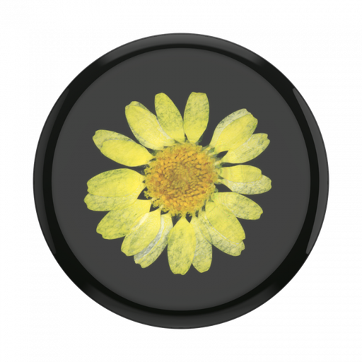 [802999] Popsockets Swappable Pressed Flower (Yellow Daisy)